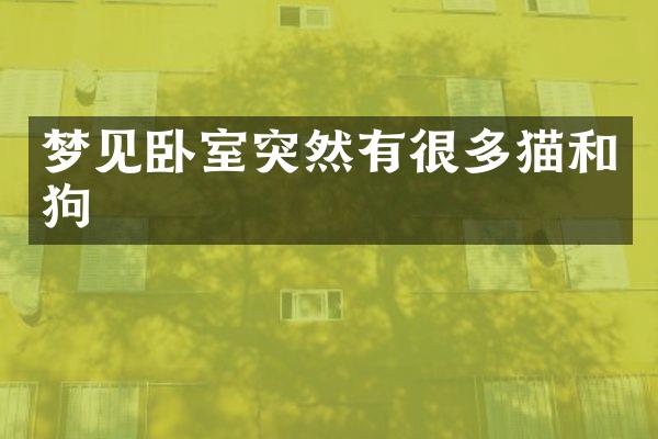梦见卧室突然有很多猫和狗