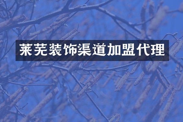 莱芜装饰渠道加盟代理