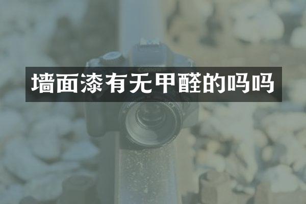 墙面漆有无甲醛的吗吗