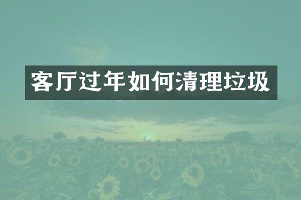 客厅过年如何清理垃圾