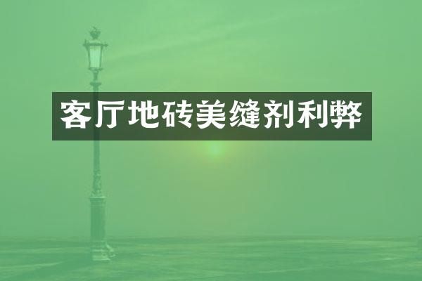 客厅地砖美缝剂利弊