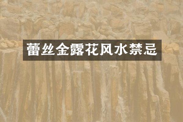 蕾丝金露花风水禁忌