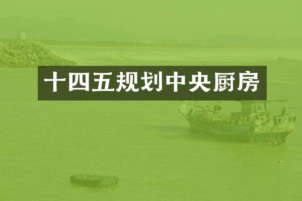 十四五规划中央厨房
