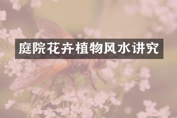 庭院花卉植物风水讲究
