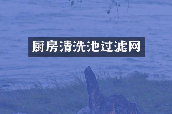 厨房清洗池过滤网