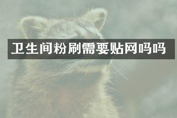卫生间粉刷需要贴网吗吗