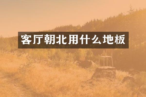 客厅朝北用什么地板