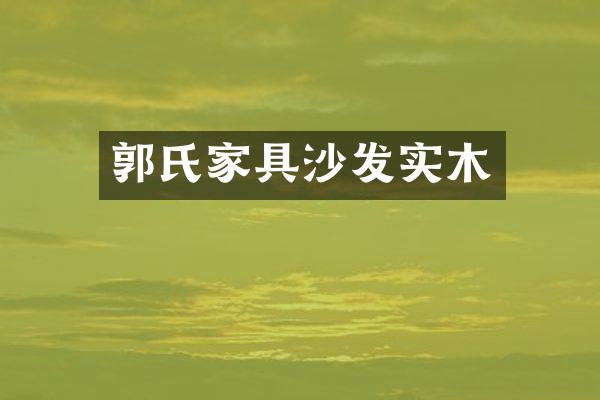 郭氏家具沙发实木