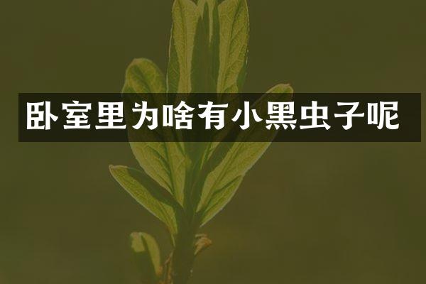 卧室里为啥有小黑虫子呢