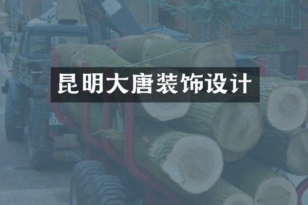 昆明大唐装饰设计