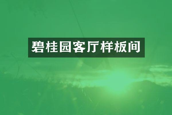 碧桂园客厅样板间