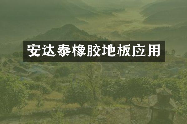 安达泰橡胶地板应用