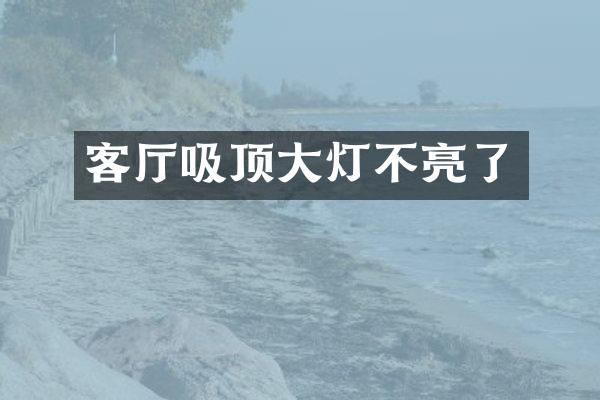 客厅吸顶大灯不亮了