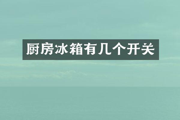 厨房冰箱有几个开关