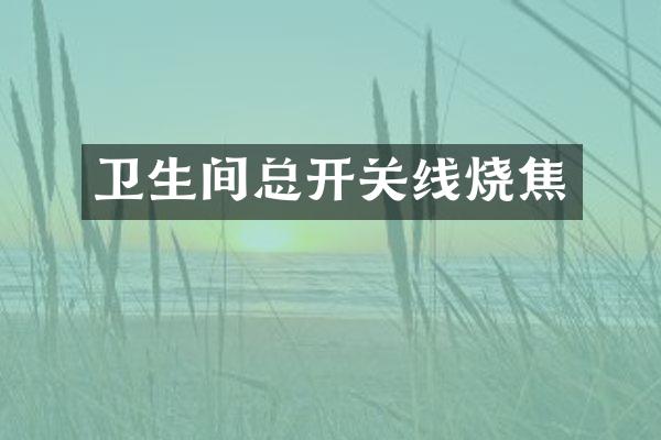 卫生间总开关线烧焦