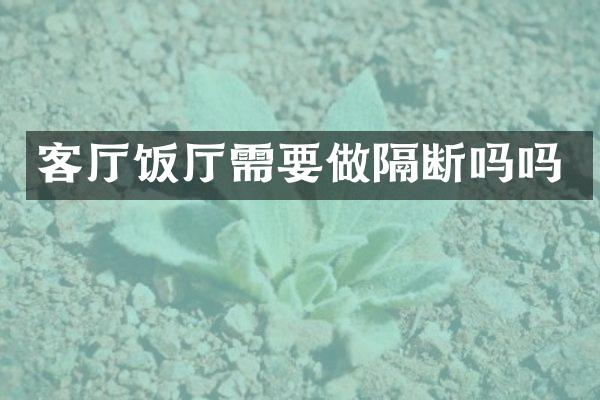 客厅饭厅需要做隔断吗吗
