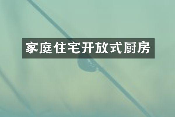 家庭住宅开放式厨房