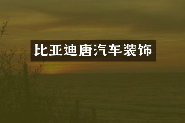比亚迪唐汽车装饰