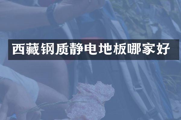 西藏钢质静电地板哪家好
