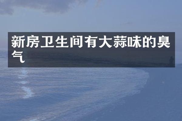 新房卫生间有大蒜味的臭气
