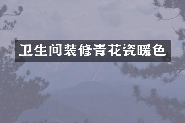 卫生间装修青花瓷暖色