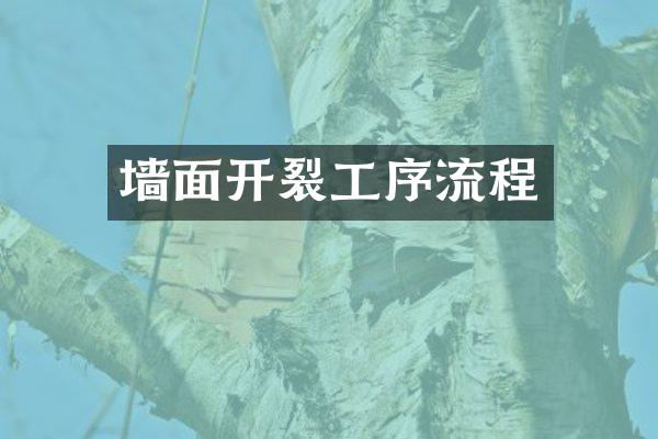 墙面开裂工序流程