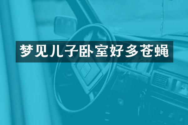 梦见儿子卧室好多苍蝇
