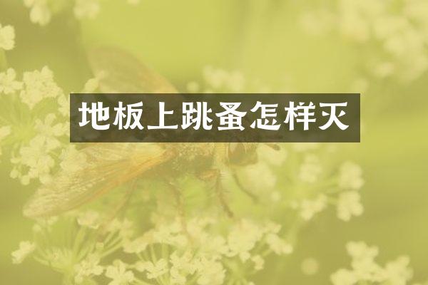 地板上跳蚤怎样灭