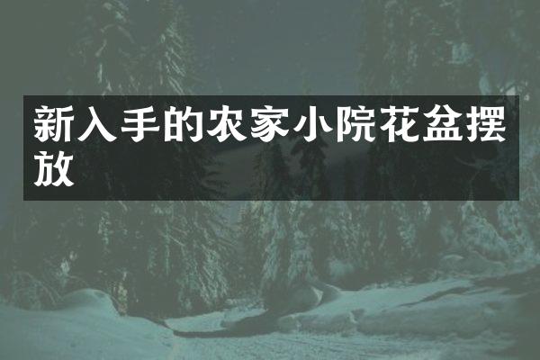 新入手的农家小院花盆摆放