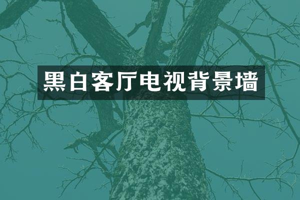 黑白客厅电视背景墙