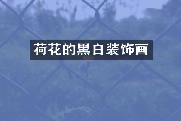荷花的黑白装饰画