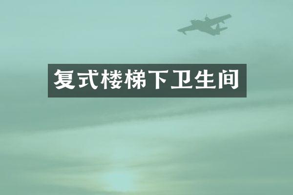 复式楼梯下卫生间
