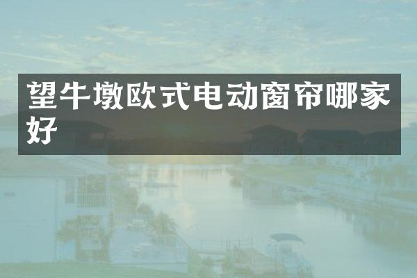 望牛墩欧式电动窗帘哪家好