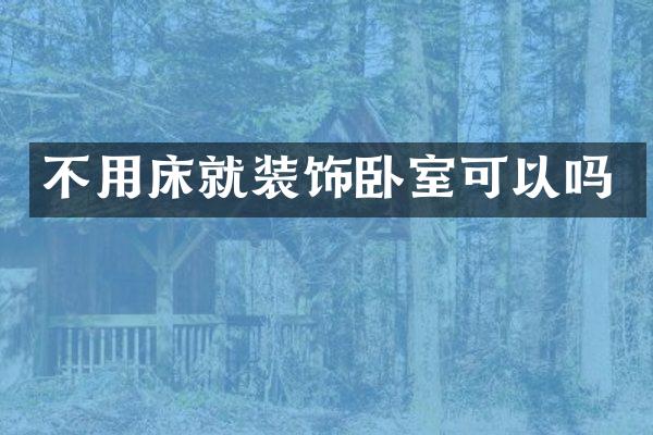 不用床就装饰卧室可以吗