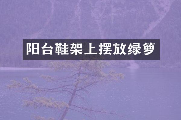 阳台鞋架上摆放绿箩