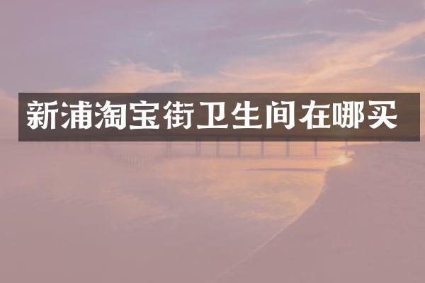 新浦淘宝街卫生间在哪买