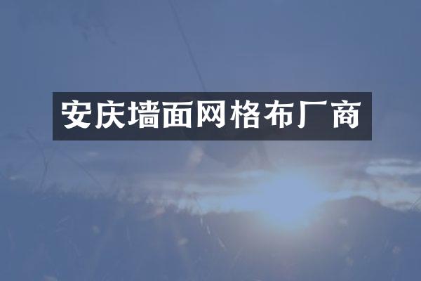 安庆墙面网格布厂商