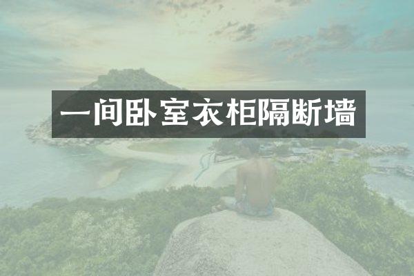 一间卧室衣柜隔断墙