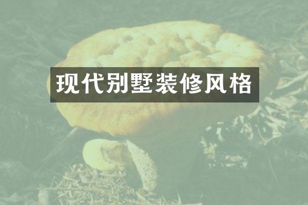 现代别墅装修风格