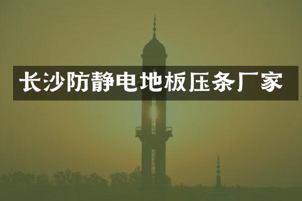 长沙防静电地板压条厂家