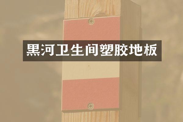 黑河卫生间塑胶地板