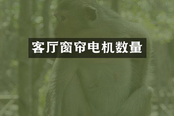 客厅窗帘电机数量