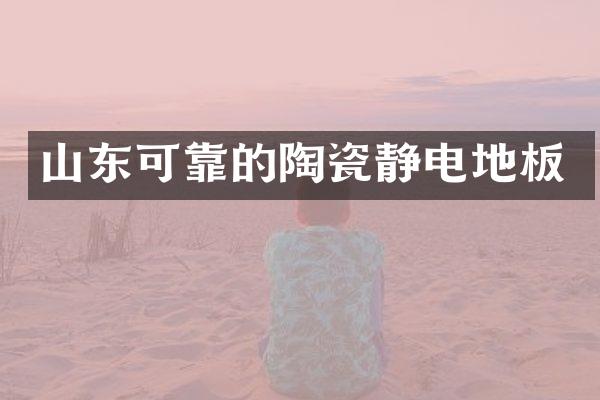 山东可靠的陶瓷静电地板