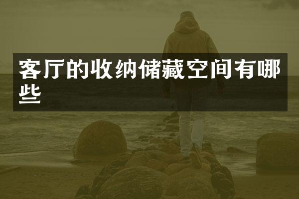 客厅的收纳储藏空间有哪些
