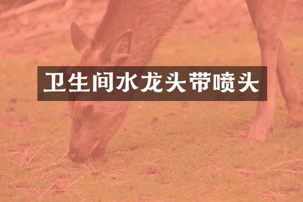 卫生间水龙头带喷头