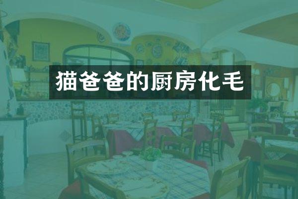 猫爸爸的厨房化毛