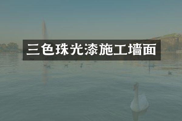 三色珠光漆施工墙面