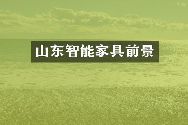 山东智能家具前景