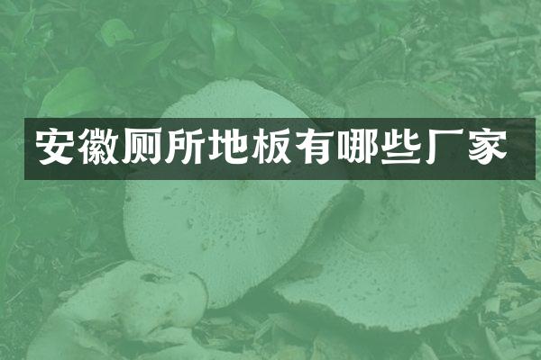 安徽厕所地板有哪些厂家