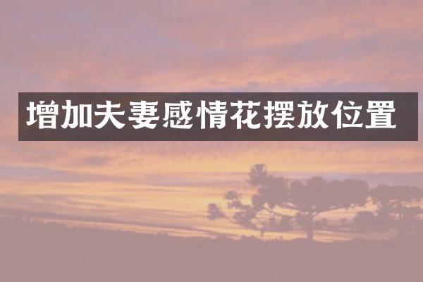 增加夫妻感情花摆放位置